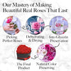 16 Flower Forever Heart Shape Box - Preserved Roses, Immortal Roses Gift for Her Rose Eternal Preserved Flowers for Mothers Day Women Valentines Day Gifts for Wife - Red