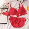 Cheap New Lace Embroidery Bra Set Women Push up Underwear Set Bra and Panty Set plus Size 70 75 80 85 90 ABC Cup Top for Female