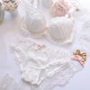 Japanese Water-Soluble Embroidery Thin Cup Girl Cute Gathering Sexy Lingerie Set Large Bra Set