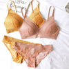 New Women 4 Colour Underwear French Wire-Free Ultra-Thin Bralette Sexy Lace Triangle Cup Push up Bra Set Cotton Bra and Panties